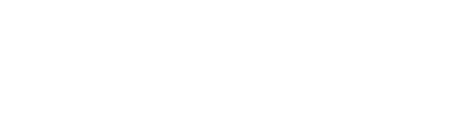 Navteca Logo Light